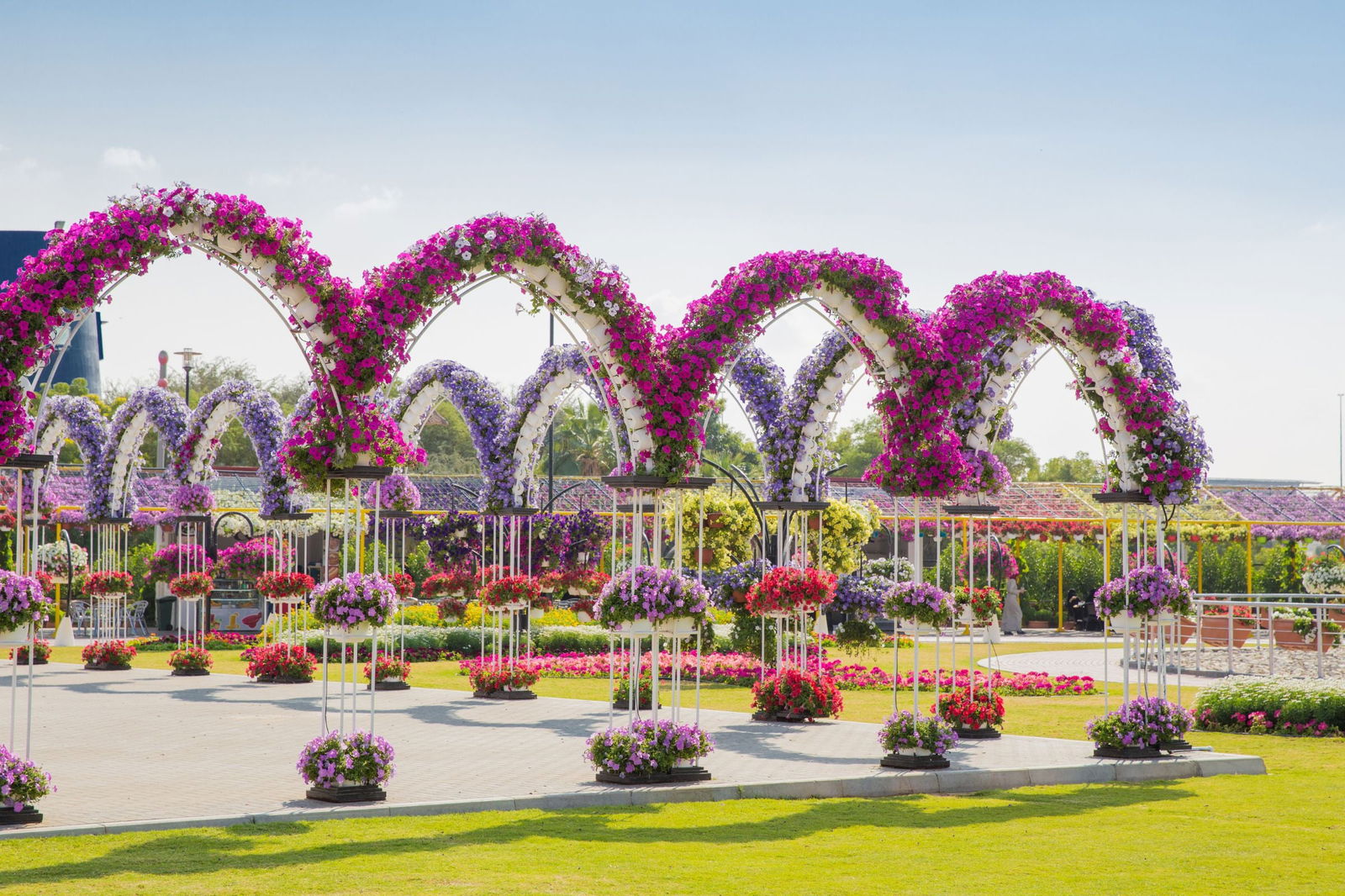Dubai Butterfly Garden Skip-the-Line Tickets - DXB Attractions