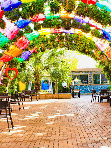 Dubai Butterfly Garden Skip-the-Line Tickets - DXB Attractions