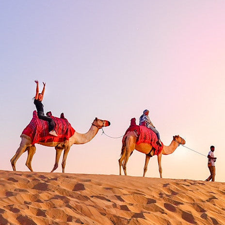 Desert Safari with VIP Majlis