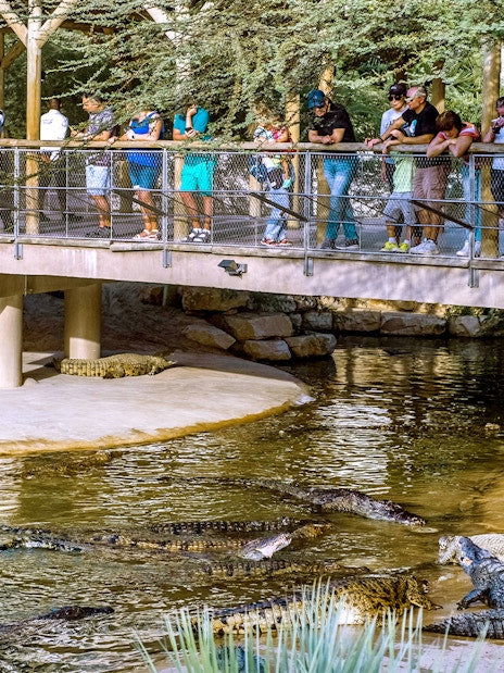 Zoos