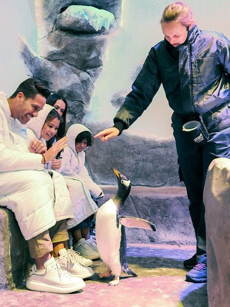 Dubai Aquarium & Underwater Zoo Tickets