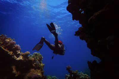 Deep Dive Dubai - Discover Scuba Diving for Beginners - DXB Attractions