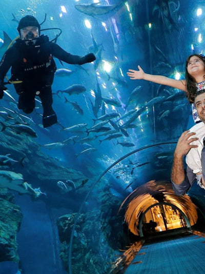 Dubai Frame Tickets + Dubai Aquarium & Underwater Zoo Tickets