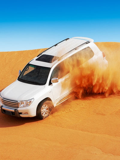 Abu Dhabi Full Day City Tour Private